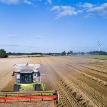 "C'est pire qu'en 2016" : les agriculteurs désemparés face à une moisson en net recul