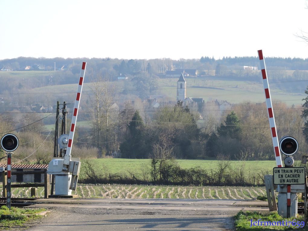 bonne année 2015