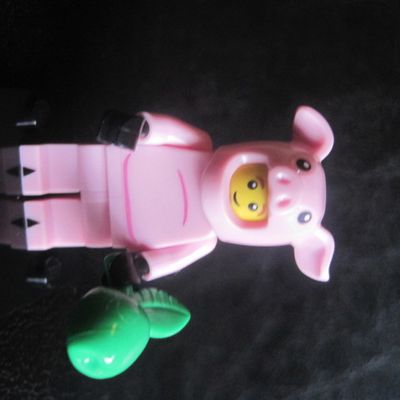 Lego Minifigures : Série 12/14