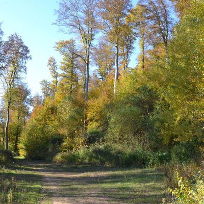 Amis de la nature, randonneurs, voilà un sujet bigrement bien… torché !