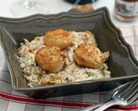 Coquilles Saint Jacques, crème d'endives au cidre