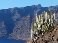 Sans oublier la belle ville de la Laguna et les pauses aux los Gigantes.