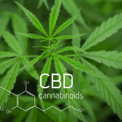 Le CBD en France, légal ou pas? #CBD