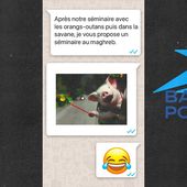 Des cadres de la Banque postale étalent leur racisme débridé dans un groupe WhatsApp