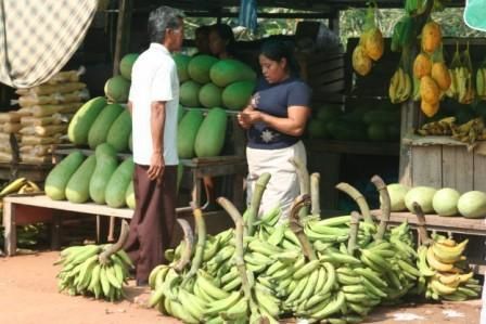 Album - colombia---colombie