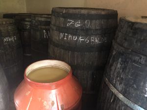 fermentation en barriques du suc de cannes