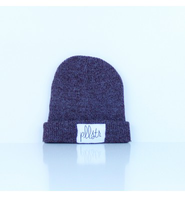 Paullster ou le petit monde des hipsters