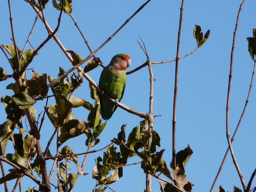 Album - Le-Damaraland