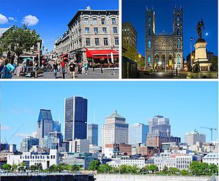 Exploring Montreal: A Traveler's Guide