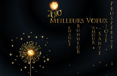 Bonne et Heureuse année 2010 !!!