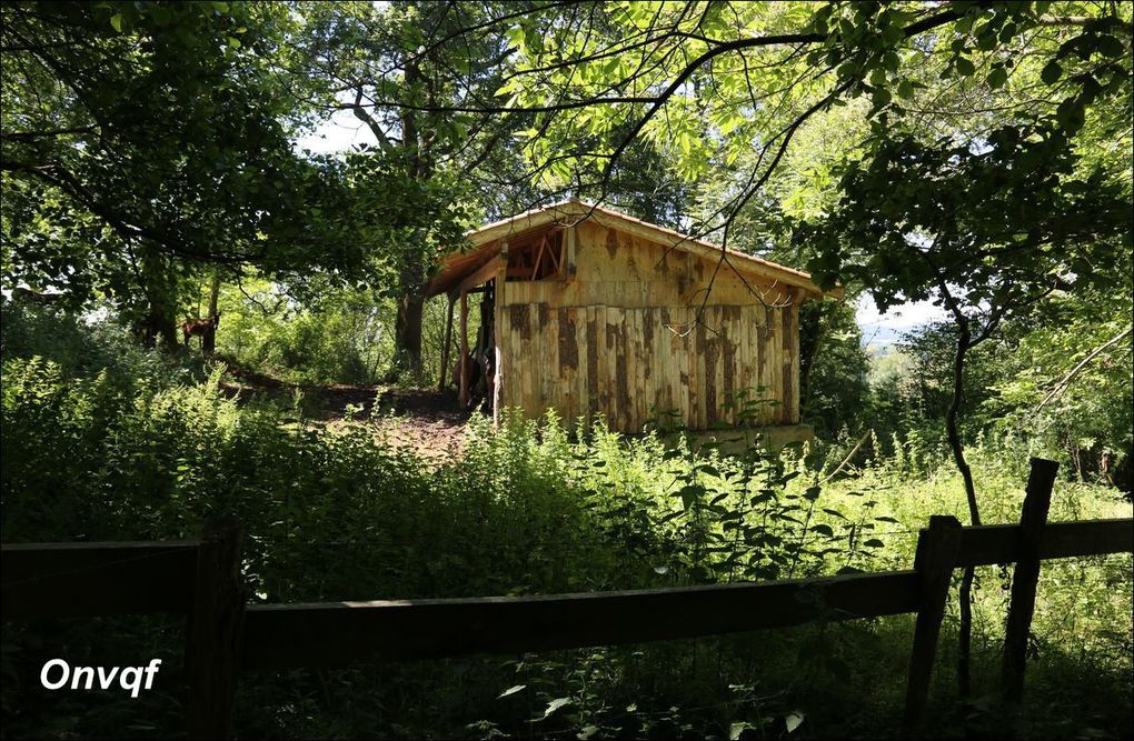 Randonnée à Labatut AA