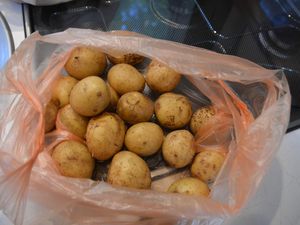 Voilà les achats du marché: 500 gr. de patates pour 0,25 centimes et au moins 500 gr de magnifiques chanterelles pour 5.20 Euros!