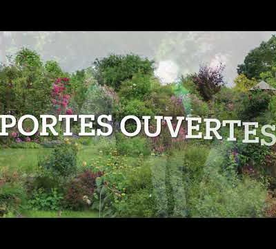 Rétroscpective 2024 en montage vidéo