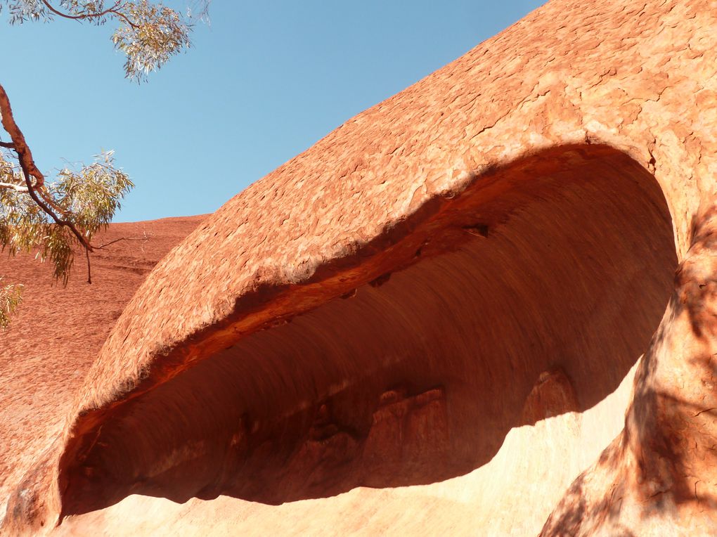 Album - 41 Uluru und die Olgas