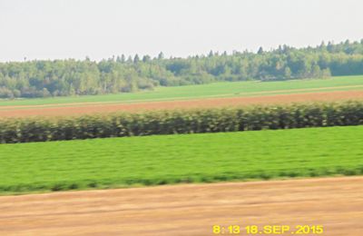 18 septembre : Le long du lac Saint Jean vers le zoo de Saint Félicien et route vers l'etape Nature