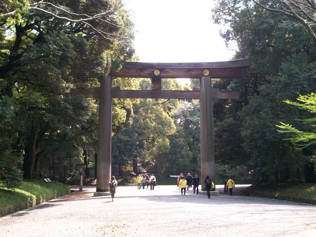 Cette compétition internationale de Kyudo (tir à l'arc japonais) avait lieu dans le dojo du jardin Yoyogi, où se trouve l'un des plus beaux temples shinto de Tokyo, le Meiji Jingu, qui est en photo au début de l'album.