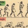 L'évolution