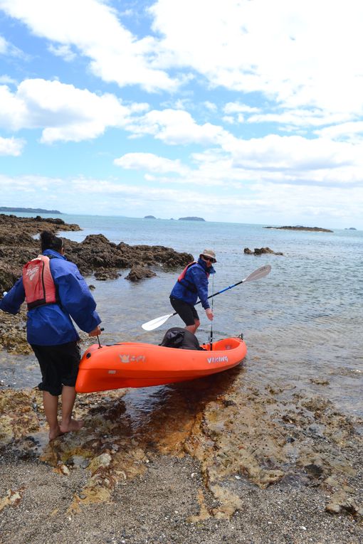 Album - Waiheke-island