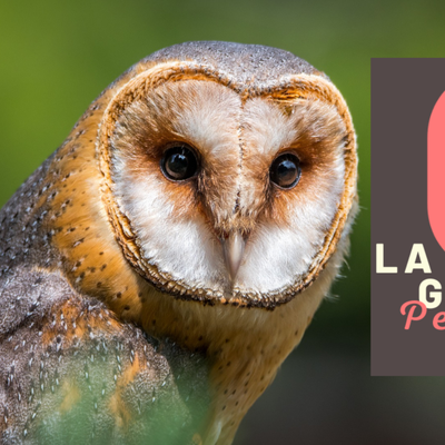 La Gutta Perchée.over-blog.com