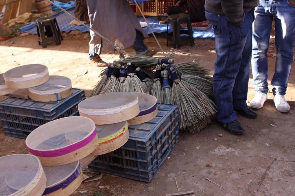 Album - Souk-de-Oualidia