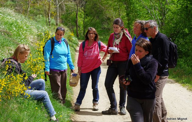 Activités de juin 2014