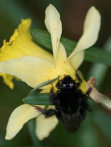 le printemps serait-il déjà là?!