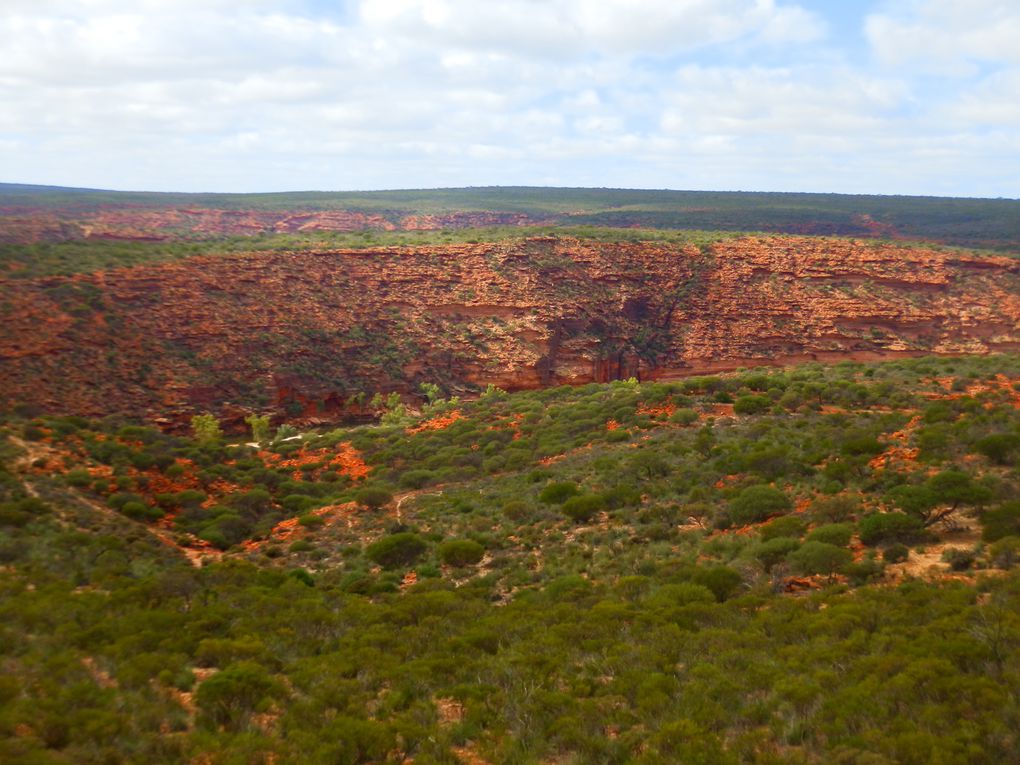 Album - Perth-Broome