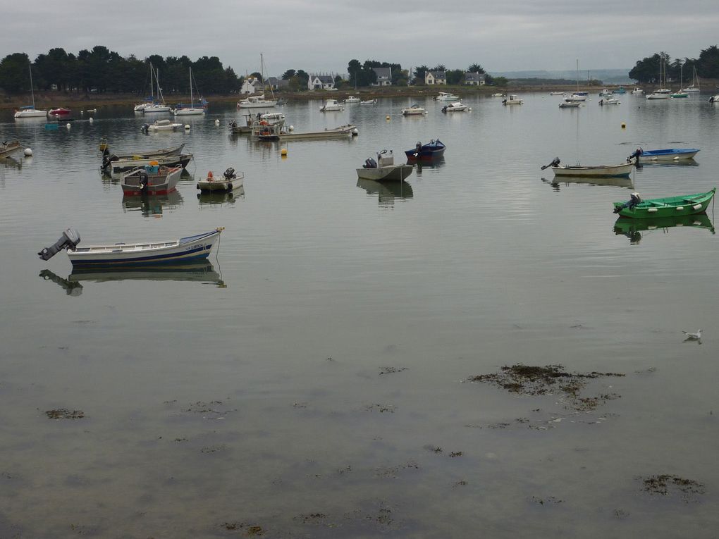 J'ai découvert la Bretagne en 2002 et je suis tombé sous le charme de cette région en particulier de la presqu'ile de Rhuys. De mes séjours réguliers, je ramène des images chaque fois différentes.