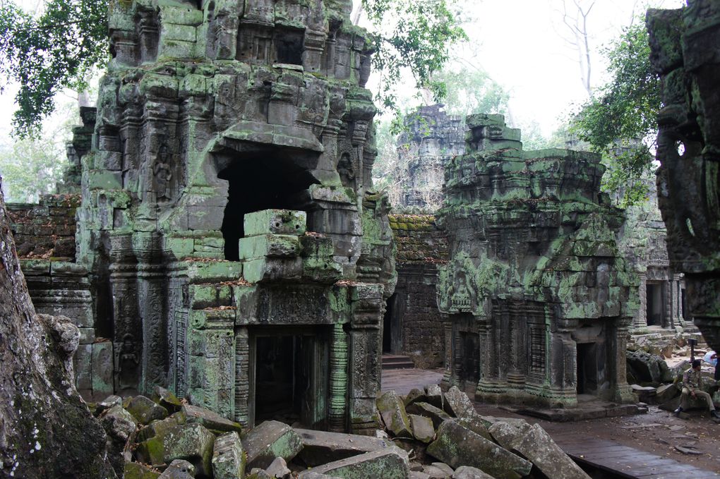 Album - Angkor-mars-2011