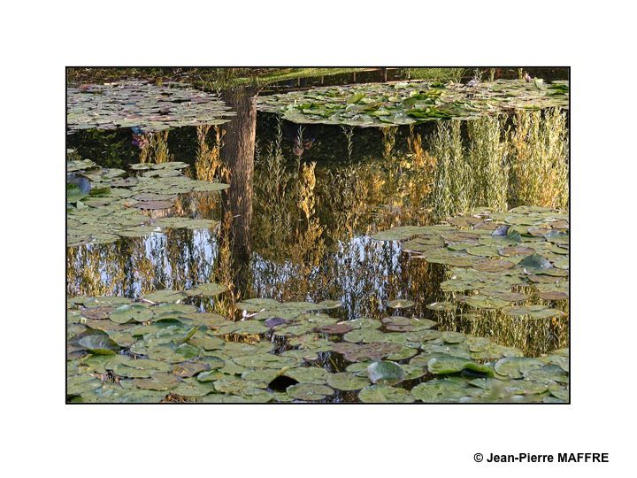 Un hommage bien modeste à ce géant de la peinture qu'est Claude Monet.