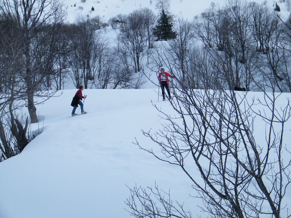 Randonnée en raquettes en savoie à Naves petit village d'altitude