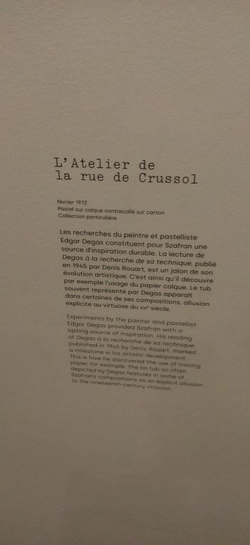 Photos prises lors de l'avant-dernier jour de l'expo à l'Orangerie, étais la dernière à franchir le seuil peu avant 18 h, suivie par les gardiens  