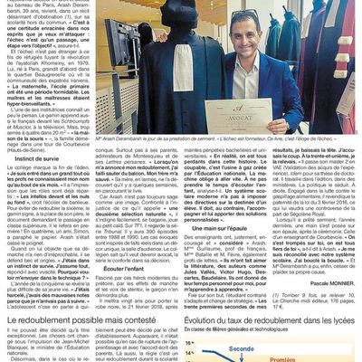 A lire le portrait d'Arash Derambarsh dans Ouest France