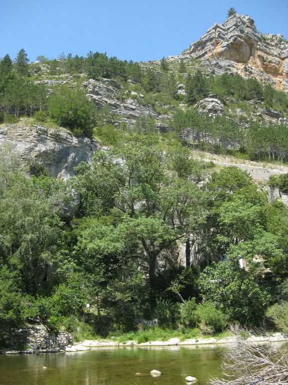 Les Cévennes