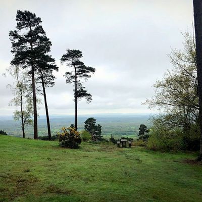 Les voyages de Caroline... Leith Hill et restaurant "The Abinger Hatch" dans le Surrey