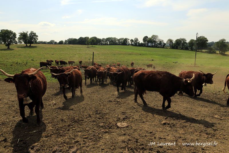 Visite du 20 juillet 2013