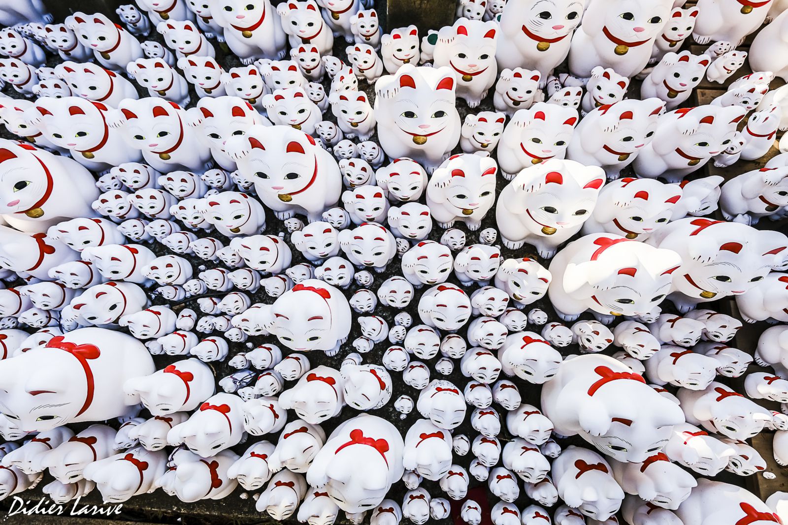 MANEKI-NEKO GOTOKUJI TEMPLE BOUDDHIQUE 豪徳寺