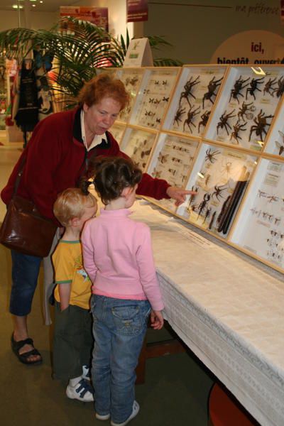 Exposition d'insectes et de papillons dans la galerie commerciale des 4B à Calais du 8 au 24 mai 2008