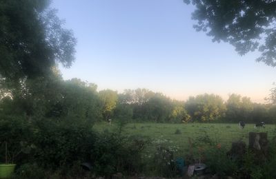Chez cath