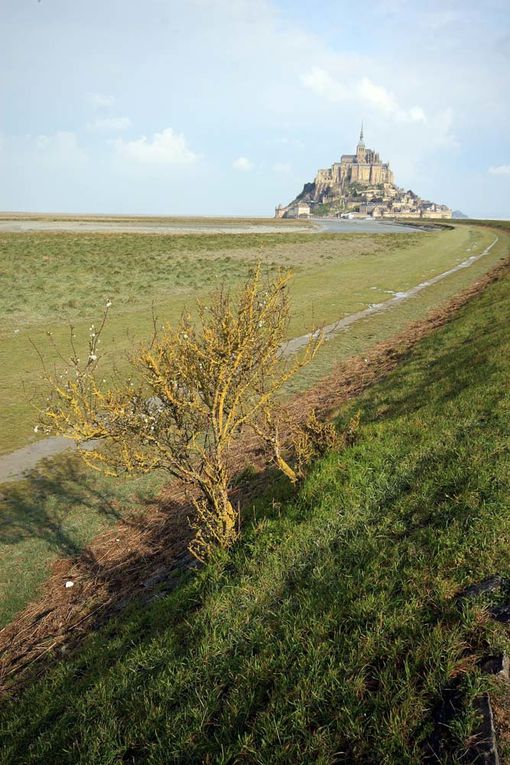 Le Mont-Saint-Michel - Photos Thierry Weber Photographe La Baule Guérande