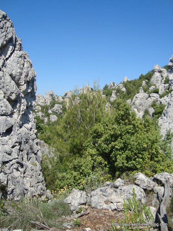 Montée puis descente à mi-hauteur, pour une exploration à pied de la zone karstique (ruiniforme), fruit d'une longue érosion calcaire. Enfin descente sur La Roquebrussanne