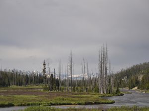 From Yellowstone to Grand Teton