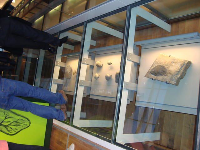 <p>IRScNB : la nouvelle Galerie de l’Evolution.</p>
<p>Quelques photographies marquantes de notre visite en avant-première.</p>
<p>Excellente visite !</p>
<p>Phil « Fossil »</p>
