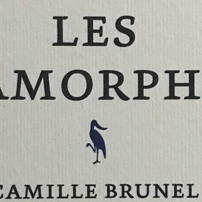 Les métamorphoses, Camille Brunel