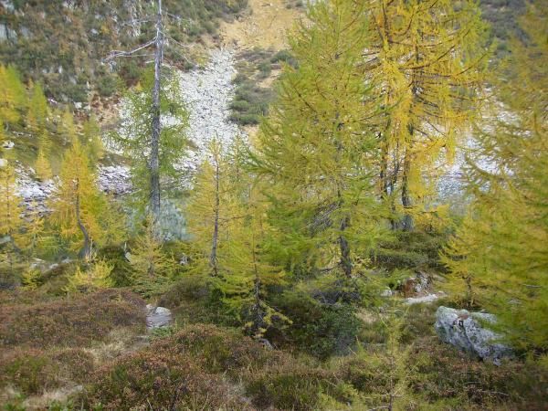 Piotta, Garzonera, lago Ravina, alpe Ravina, Piotta