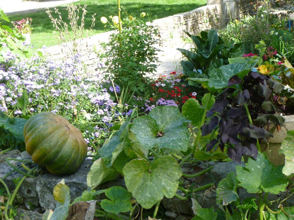 Randonnée Pédestre du 25 Octobre  De ND de Vêles à la Cévenne de Béars