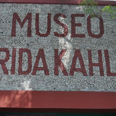 Muséo "Frida kahlo"