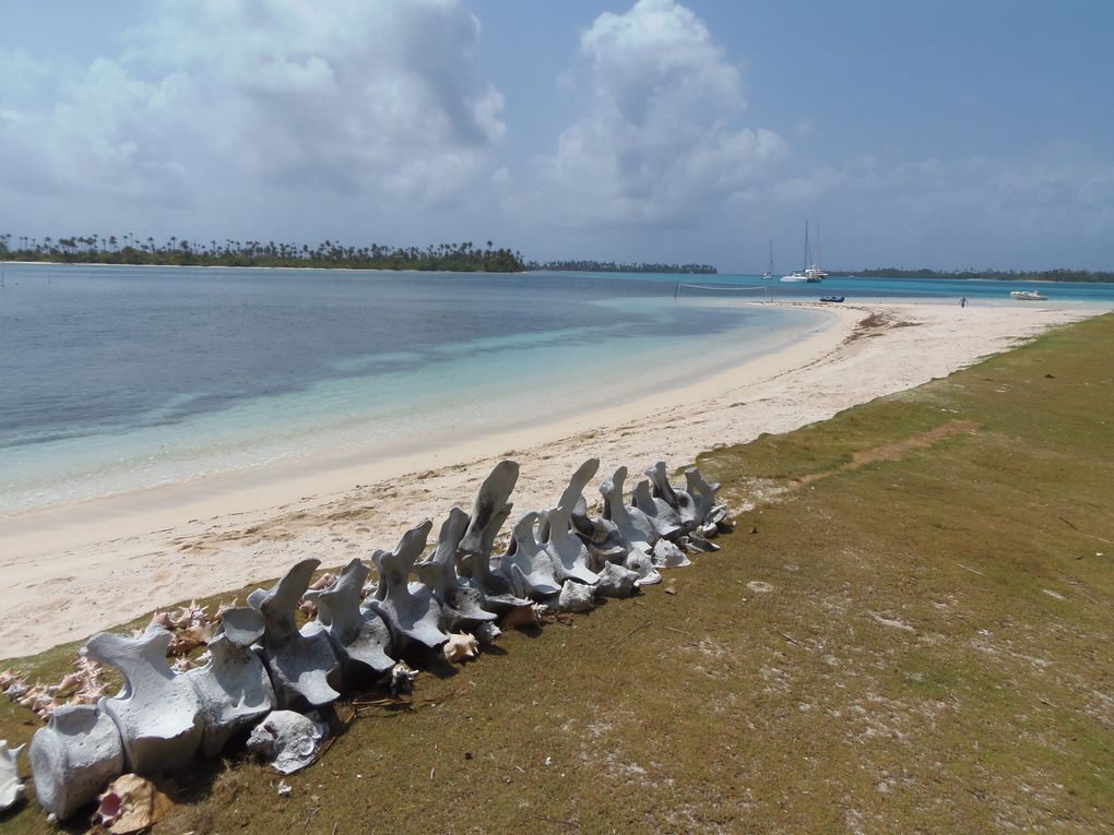 Panama city / San Blas / Isla Bastimentos