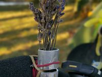 Bricolage improvisé sur la route, un support à bouquet pour le cintre de Sveta. / Импровизация на дороге: вазочка для цветов на Светином руле.