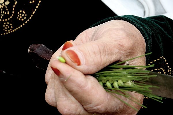 Agroécologie en Algérie:  Et si  on  revoyait notre modèle de consommation ?